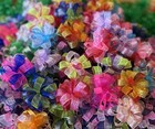 Bubble Dog Bows Pet Grooming Bows Everyday Variety Top Knot Ear Qty 100