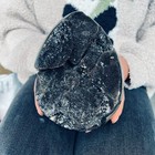 7 04lb Natural Septarian Dragon Stone Quartz Specimen Crystal Reiki Healing