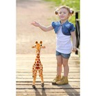 Jared The Giraffe 22  Plush Stuffed Animal Real Life Soft Toy Adorable Peluche