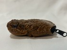 Sugar Cane Toad Animal Coin Purse Real Frog New