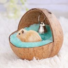 Hamster Sleeping Bed Coconut Shell Nest Cushion For Guinea Pig Squirrel