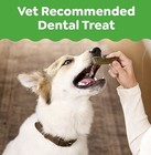 Greenies Original Teenie Natural Dental Dog Treats Pack Of 130