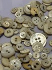 Mother Of Pearl Shell Buttons Vintage Assorted Sizes Over 250 Buttons