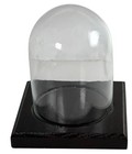 Vintage Glass Dome Display Case 5    Brown Wood Base