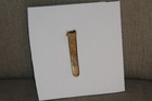 British Army Uniform Cap Badge  The Bedfordshire Regiment