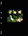  13 00 Scott Value - 2019 Tuvalu Plumeria Flowers S s Egret Bird Cv Mnh Nh Umm