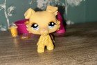 Littlest Pet Shop Lps Collie  1194 Dog Figure With Accessories Cute Rare