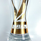 Pair Of Official Fifa World Cup 2026 Edition 17 Oz Pilsner Beer Glass Gold Logo