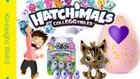 Hatchimals Colleggtibles Season Two 4-pack   Bonus    golden Hatchimal Chance  