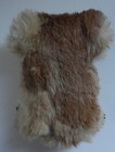 Vintage Australian Koala Bear Plush W  Real Fur 6  1980s