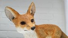 Superb Rare Natural World Country Artists  13  Fox Kit   First Venture Fox Cub
