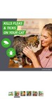 New Frontline Plus Flea And Tick Treatment For Cats Over 1 5 Lbs  6 Treatments