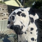 Melissa Doug Lifesize Dalmation 33    Plush Stuffed Animal Huge Jumbo 2110
