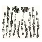 Set Realistic Gothic Skeleton Hand Bones Halloween Temporary Fake Tattoos Makeup