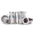 M3 M4 M5 M6 M8 M10 M12 304 Stainless Steel Hex Flange Nutsert Blind Rivet Nuts