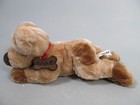 Fao Schwarz Fetch Puppy Dog Plush Stuffed Animal Toy Brown 12  With Book Rare