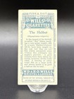1910 Wills   s Cigarettes Fish   Bait Card  38 The Halibut     Series Of 50