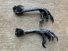 Real Taxidermy Crow Bird  corvus Corone   1 Pair  Feet Raven Claws Witchcraft