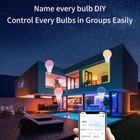 Wifi Smart Led Light Bulb - For Alexa  Google And App remote