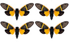 4 Real Cicada Unmounted Spread Wings Diy Insect Specimen Taxidermy Oddity Gift