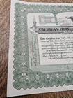 American Iron And Steel Corporation 1921 Stock Certificate