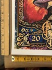 2009 Allman Brothers Band   Widespread Panic Birmingham Rare Art Poster Abb Wsp