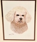 Bichon Frise Dog Portrait Print 9x11 Vintage By Robert J  May Qpi New Sealed