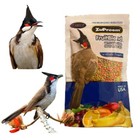 Bird Food Red-whiskered Bulbul Zupreem Fruitblend Fruit Flavor Natural 100 G X 3