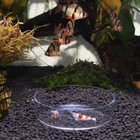 Feeding Dish - Aquarium Shrimp Feeding Dish