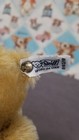 Vintage Steiff Teddy Bear Posable   Jointed Knopf Im Ohr Made In Germany