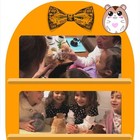 Toy 15cm Little Talking Hamster Toy