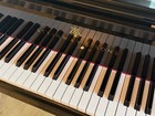 New-in-2016 Steinway   Sons Model B Grand Piano