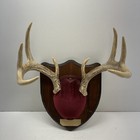 Vintage Uniformed Deer Antlers Trophy Mount Plaque 8 Point Cabin Decor Rustic