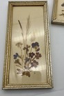 Vintage Framed Dried Pressed Flowers Made In Germany Set Of 2