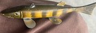 Vintage Minnesota Fish Decoy - Working Ice Spearing Lure Perch Color  Pike Body