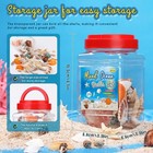 Mixed Beach Seashells  2 To 10 Cm And 2 Natural Starfish For Crafts And