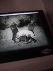 Antique Glass Photo Negative Plate Kids Under Umbrella In Yard 