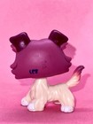 Lps Hasbro Tru Dsi Beach Nintendo Collie Dog  1262 - Authentic Littlest Pet Shop