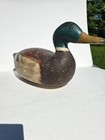 Decoy Steve Delahaut  Green Bay Wis Mallard Drake