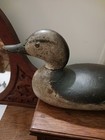 Mason Challenge Green Winged Teal Hen Decoy