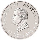2026 P Australia Silver Kookaburra 10 Oz  10 - Bu