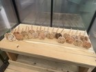 Custom Hand Made Engraved Wood Drop Spindle