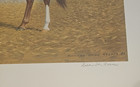 Genuine Risk  Richard Stone Reeves Signed numbered Lithograph  Kentucky Derby