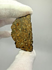 Nwa 17756 Ll3 3 Meteorite 14 5 Gram End Slice With Packed And Large Chondrules