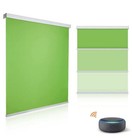  Smart Green Screen  With  Alexa And Remote Retractable  