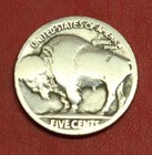 Hobo Buffalo Nickel Triceratops Skull Real Us Nickel
