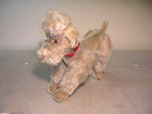 Vintage 1950s Steiff Buttoned Snobby Poodle Dog 8 5    