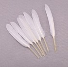 500 Wholesale White Duck Feather Craft Bundle Haberdashery Angel Wings Craft