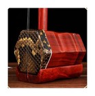 Landtom Musical Chinese Erhu 2 Stringed Chinese Rosewood Violin Fiddle Instru   