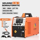 110v 220v 5-in-1 Aluminum Mig Welder Gas gasless 250 Amp Tig Mma Welding Machine